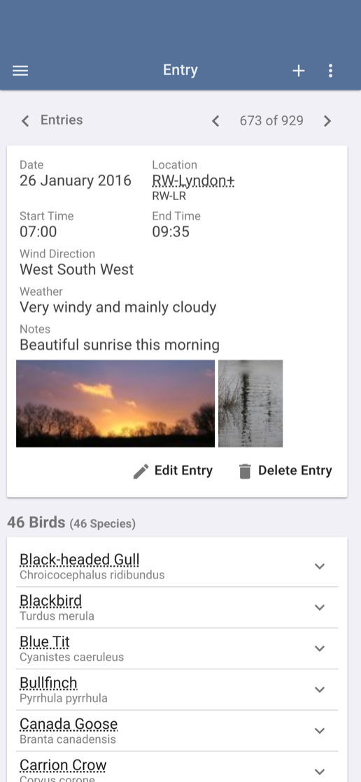 A Bird Journal entry on iPhone
